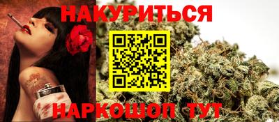 крисы Будённовск