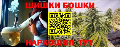 крисы Будённовск
