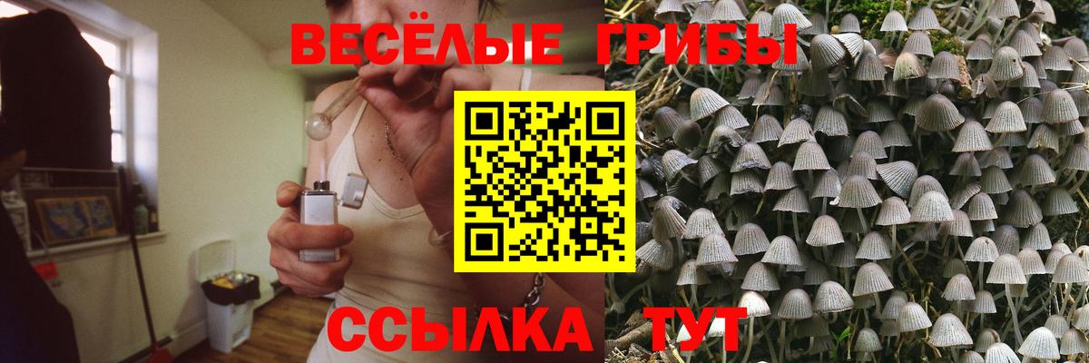 Соликамск  Галлюциногенные грибы Cubensis  Вход с VPN  Псилоцибиновые грибы Psilocybine cubensis 
